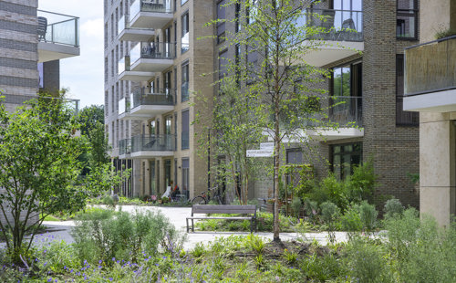 Op deze slide wordt getoond ASR DCRF Cruquiuswerf Foto Corné Bastiaansen (3).